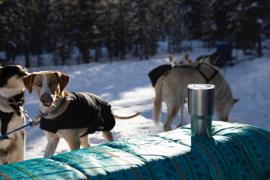 Quiénes Somos Water Bear Gear